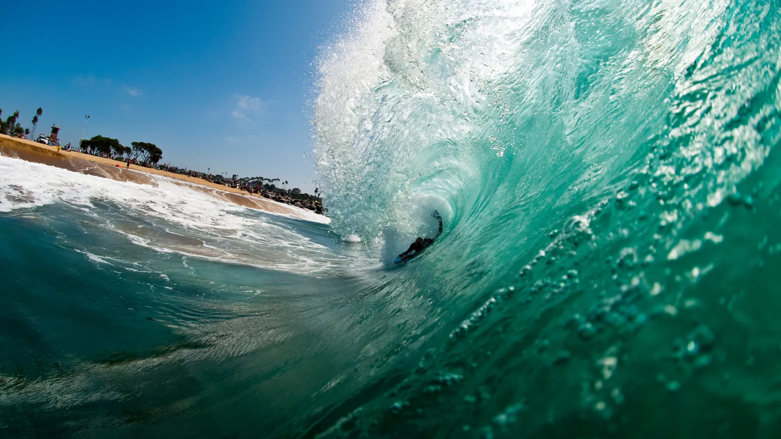 The Wedge