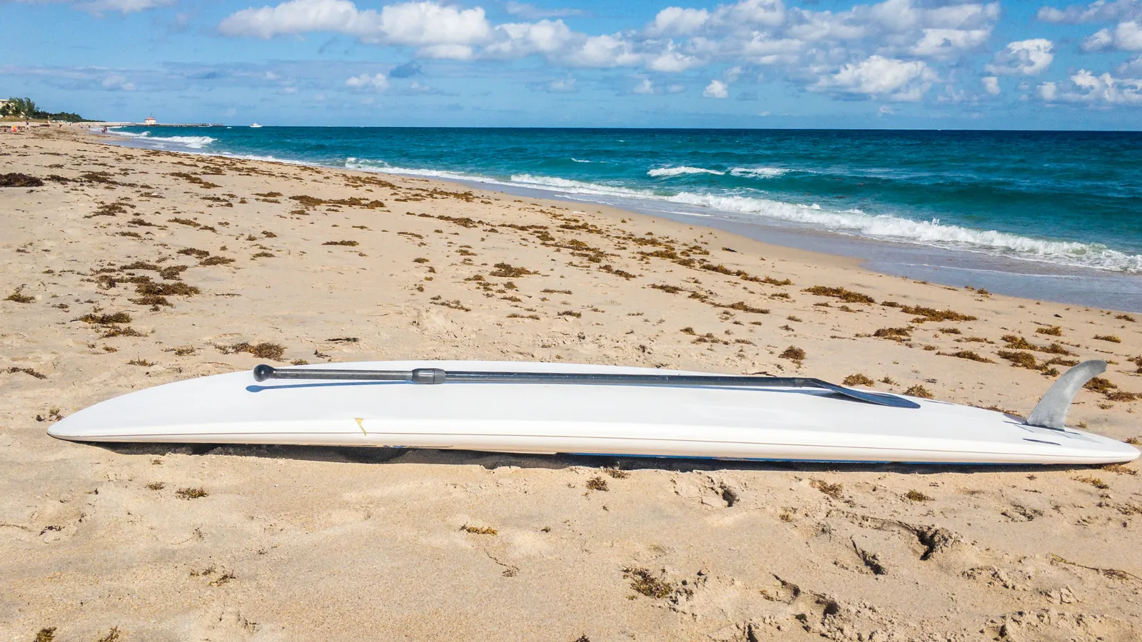 Paddle boards in different sizes